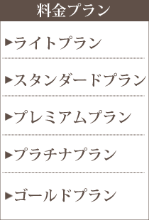 �����v����